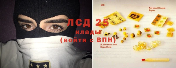 спайс Корсаков