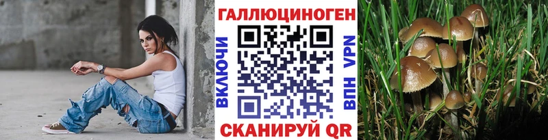 Галлюциногенные грибы Psilocybe  Лиски 