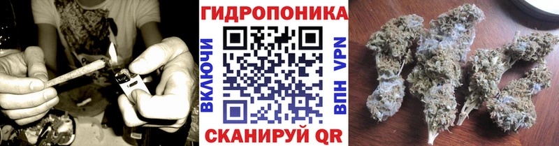 Конопля сатива Лиски
